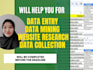data entry data mining web research excel spreadsheet