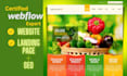 do webflow website development, build design, figma to webflow with SEO