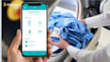 develop a laundry app, dry cleaning app, on demand delivery app