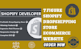 design 7 figure shopify dropshipping store ecommerce website