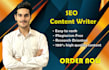 be the SEO content writer for your website