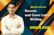 professionally write and edit comprehensive resume