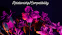 do relationship and compatibility readings