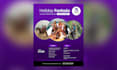 create professional flyer design, social media flyer, ad banner, eflyer