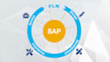 implement sap plm  process and discrete end to end implementations