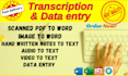 type scanned documents into word and provide other typing services