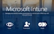 provide free consulting in intune and m365