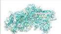 do molecular docking and MD simulation