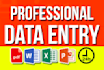 do data entry, copy paste, excel data entry, pdf to excel
