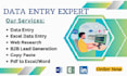 do professional data entry, web scraping, excel data entry