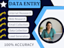data entry expert, data scraping, data mining