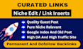 do premium quality niche edits, link insert on da50 plus site