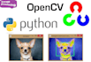 do python image processing computer vision python coding script