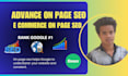 do advance wordpress onpage seo and e commerce for rank