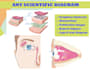 make scientific figures, illustration and graphical abstracts diagram