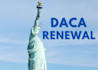 renew your daca application