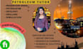 do petroleum reservoir simulation geology and drilling engineering tasks