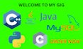 fix your java or cpp bugs and deliver custom solutions fast