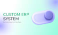 build a custom erp system