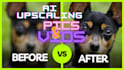 edit and upscale your low resolution pictures by up to 4x