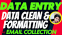 do data entry, PDF conversion, retyping and copy paste tasks