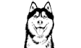 turn your pet photo into a beautiful line art drawing