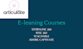 develop courses in articulate 360 and rise 360