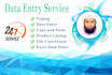 do excel data entry, data entry, PDF to excel data entry