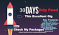 boost your rank 30 day SEO drip feed link building services