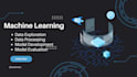 expert machine learning engineer for your data driven success