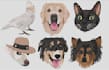 create high quality embroidery digitizing for machines