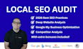 provide an expert local SEO audit of your online presence