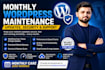 provide monthly wordpress maintenance, updates and support