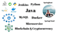 leverage the entire spring ecosystem to build fast, secure and robust web
