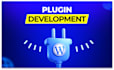 be your custom wordpress or woo theme, plugin developer