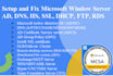 setup microsoft windows server ad, gpo, dns, dhcp, iis, SSL, adcs, rds, vdi, ftp