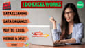 do data cleaning, organize, merge, split and pdf to excel