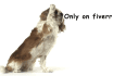 make beautiful logo reveal with dog