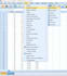 do data analysis using spss and excel