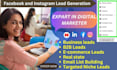 fb and ig targeted niche leads , leads generation , b2b , email list building