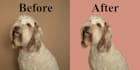 professionally remove background, hair masking