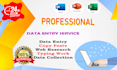 data entry web data copy paste or leads business
