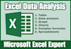 do excel data analysis