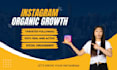manage instagram marketing to grow and promote organic followers engagement