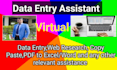 be your perfect data entry assistant