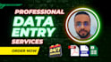 be your virtual assistant for data entry, copy paste and typing