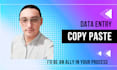 data entry and copy paste