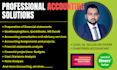 provide professional accounting services and tutoring