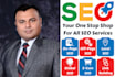 manage monthly SEO for your business website
