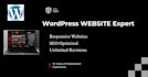 develop professional websites in wordpress, business websites